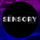 Illustration for article titled The Sensory Effect NY Tech Meetup Keynote Speaker Is the Legendary Ray Kurzweil